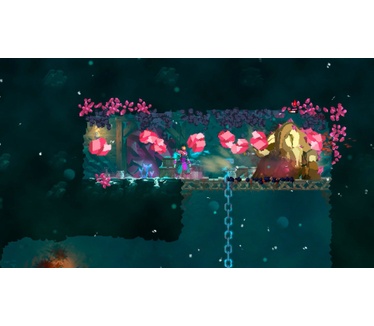 Dead Cells, Switch