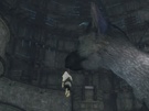 The Last Guardian