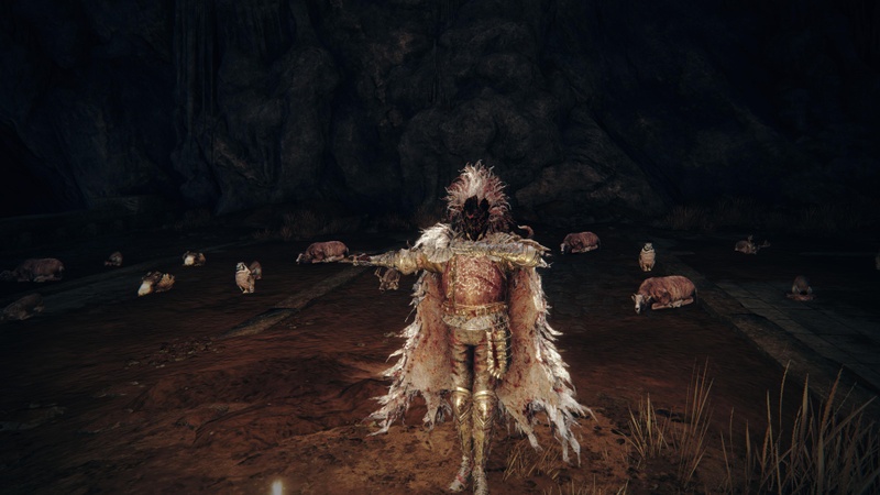 Afbeeldingslocatie: https://tweakers.net/i/LRFD-3q9xQqx74rERbuTrWMQe6s=/800x/filters:strip_icc():strip_exif()/f/image/x0UE19xEdz2xTYsKUTiPGwJG.jpg?f=fotoalbum_large