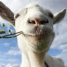 Goat Simulator krijgt gratis mmo-uitbreiding