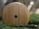 Monohm Runcible