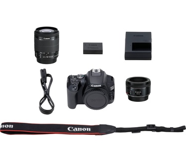 Canon EOS 250D + 18-55mm f/4-5.6 + 50mm f/1.8 Zwart