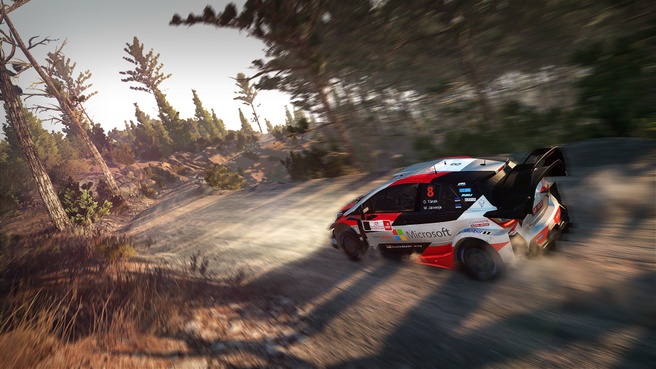 WRC: FIA World Rally Championship 8, Switch