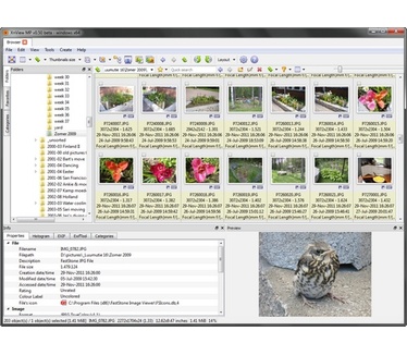 XnViewMP 0.50 screenshot (481 pix)