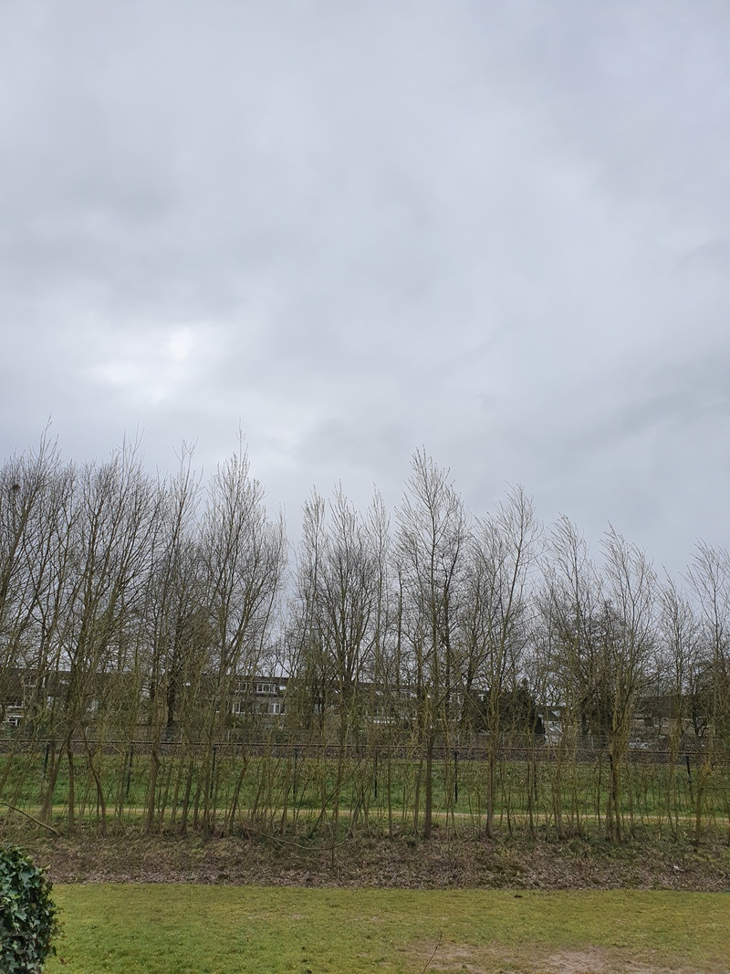 Afbeeldingslocatie: https://tweakers.net/i/LhGgc5dNS2S1UknXujEFJyTTXIo=/800x/filters:strip_icc():strip_exif()/f/image/aavo3krexAiIpVoGA0HY3ZId.jpg?f=fotoalbum_large