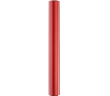 WD My Passport Essential 250GB Rood