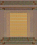 NEC content addressable memory