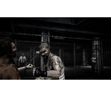 The Fight