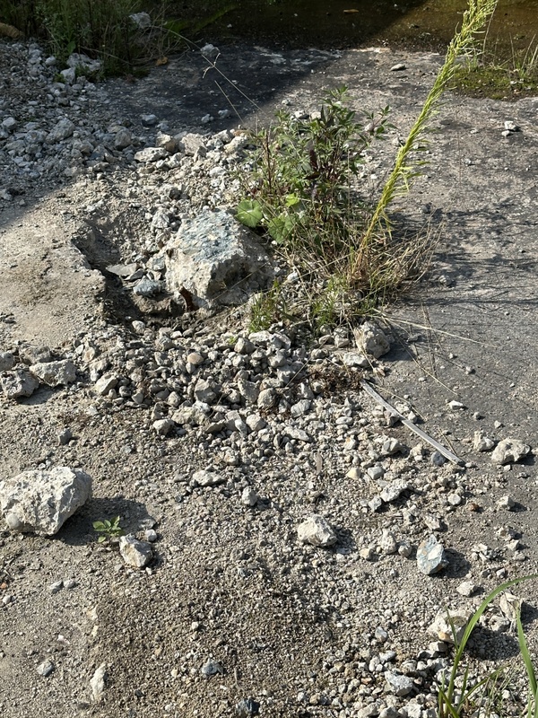 Afbeeldingslocatie: https://tweakers.net/i/LkFU09gupq35CiuK3PbY9os0eJw=/x800/filters:strip_icc():strip_exif()/f/image/rxZ9ZtqKN5wkuN93lbxzT4KZ.jpg?f=fotoalbum_large