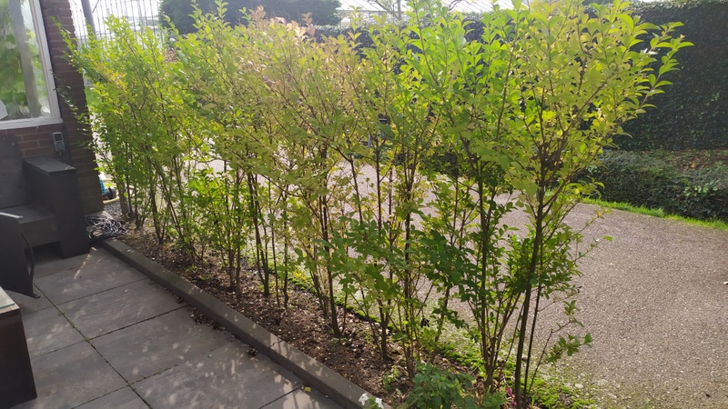Afbeeldingslocatie: https://tweakers.net/i/LlD1Io1K6SDSFAMm4EY4rYGQWQE=/800x/filters:strip_icc():strip_exif()/f/image/dSwZ1zS5M8IF3jROqZYB2Dex.jpg?f=fotoalbum_large
