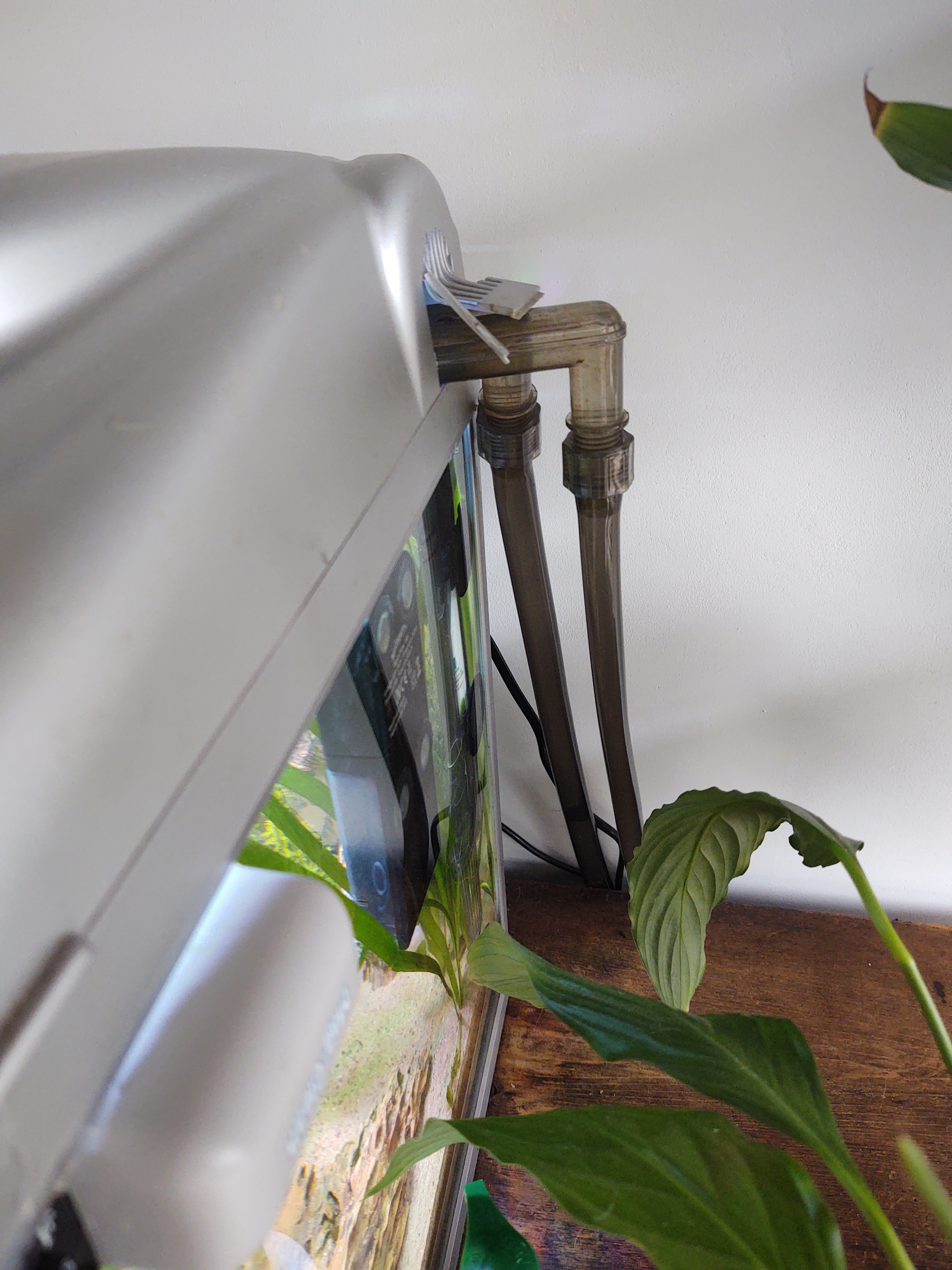 Het aquarium topic - Deel 9 - Algemene zaken - GoT