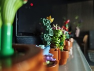 Cameratest - Primair