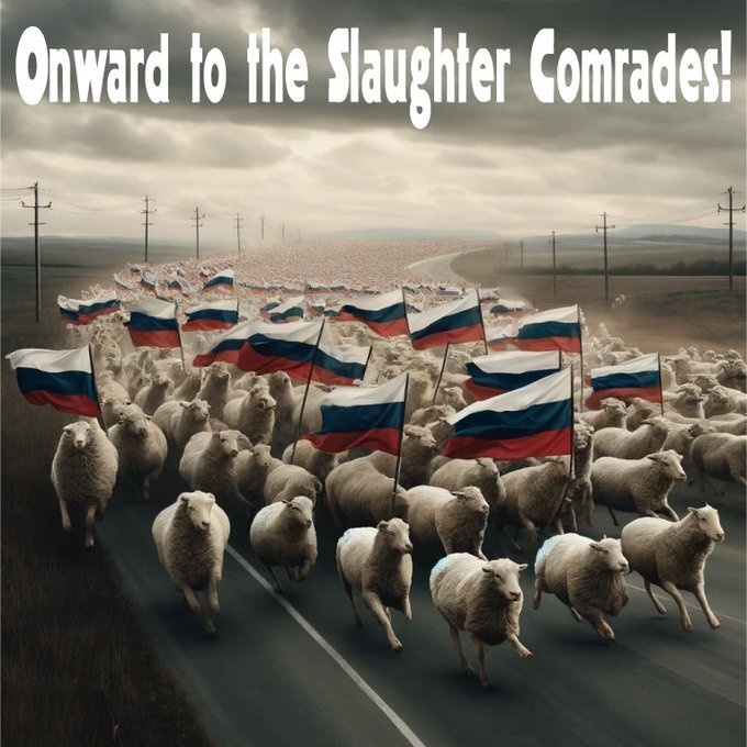 Afbeeldingslocatie: https://tweakers.net/i/LnaGgxyMdgSOwsRCr9g5rVZCPjU=/full-fit-in/4920x3264/filters:max_bytes(3145728):no_upscale():strip_icc():fill(white):strip_exif()/f/image/bODHdrq84kxUPQr34Uek4CuL.jpg?f=user_large