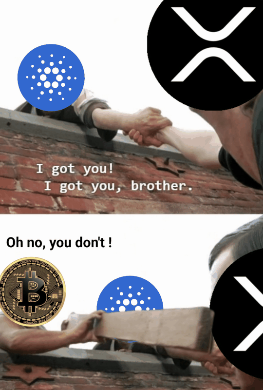 Afbeeldingslocatie: https://tweakers.net/i/LqPoI8L0c4DwCBlQ5L2xDv2iMcc=/x800/filters:strip_exif()/f/image/kyaWkeRcyIZXkKJvzH38CLMD.png?f=fotoalbum_large