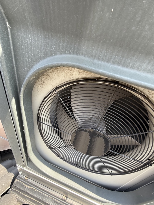 Afbeeldingslocatie: https://tweakers.net/i/Lrj4NDufW__cWz_QjJX5TCgiUFo=/x800/filters:strip_icc():strip_exif()/f/image/9KtiUbtKCgaaYxj25ukch0Is.jpg?f=fotoalbum_large