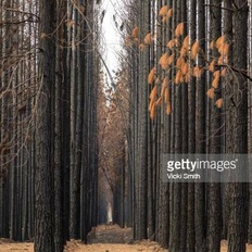 Afbeeldingslocatie: https://tweakers.net/i/LsBfMeaqR7lwnUw9VKZ8psc_jVg=/232x232/filters:strip_icc():strip_exif()/f/image/EFfQgSmjCyYrwOaMMMTXvZXY.jpg?f=fotoalbum_tile