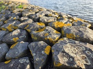 Xiaomi 17 Cameratest - Primair (overdag)