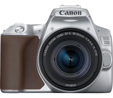 Canon EOS 250D + 18-55mm f/4-5.6 Zilver