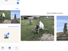 Door Google ontdekte iOS-malware die toegang geeft tot iPhones