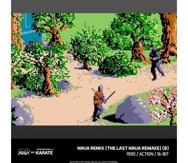 The Last Ninja & IK Collection