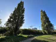 Cameratest iPhone 14 - Ultragroothoekcamera