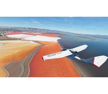 Flight Simulator: Deluxe Edition, Windows