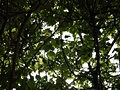 Panasonic Lumix GF3 samples
