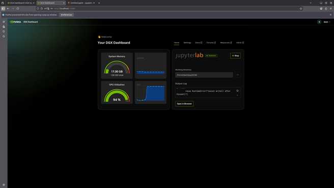 Nvidia DGX Dashboard