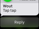 Apple Watch notificaties