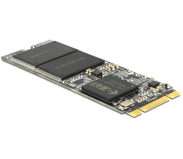 Delock M.2 NGFF SATA 64GB