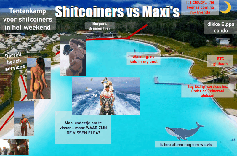 Afbeeldingslocatie: https://tweakers.net/i/M4ipGeWElw5QMITtC85mq7nlaE8=/800x/filters:gifsicle():strip_exif()/f/image/93ZiC9plgI0wnCP6r0nJr62M.gif?f=fotoalbum_large