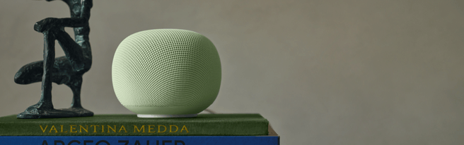 Google Home Speaker