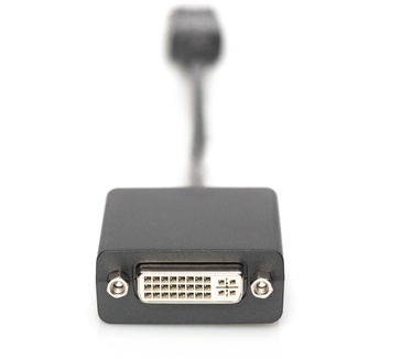 Digitus 0.15m, DisplayPort/DVI-I Zwart