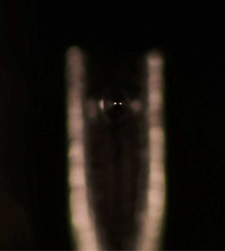 Afbeeldingslocatie: https://tweakers.net/i/M67YYA7_St18ekgoeDjEia_mRXc=/x800/filters:strip_exif()/f/image/zUstRFo7DbvVqG5p3h8U1e0S.png?f=fotoalbum_large