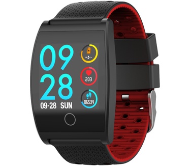 Garett Electronics Sport 22