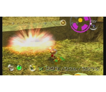 Pikmin 1, Wii