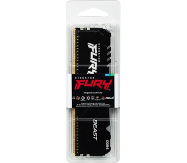Kingston Beast RGB