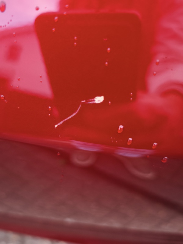 Afbeeldingslocatie: https://tweakers.net/i/M9V415kfP-Smy4x-RIsK-BTT0sg=/x800/filters:strip_icc():strip_exif()/f/image/zOfgbX3UV8K5qEWP7Ig1cH09.jpg?f=fotoalbum_large