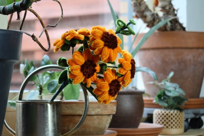 Fotosample kleurweergave en contrast 02 compactcamera vs. smartphones