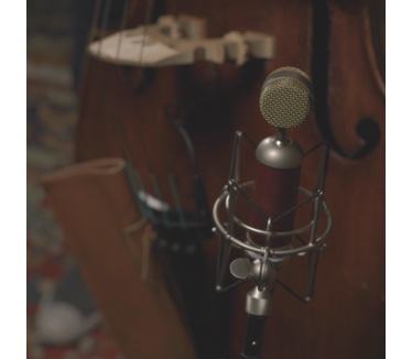 Blue Microphones spark SL