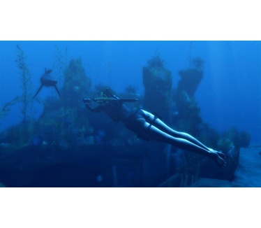 Tomb Raider - Underworld, Windows