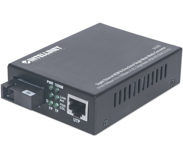 Intellinet 545068