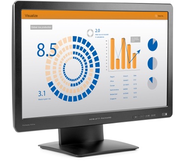 HP ProDisplay P202va Zwart
