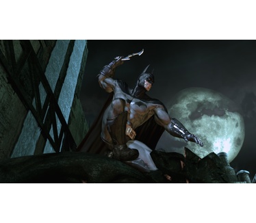 Batman: Arkham Asylum, PC (Windows)