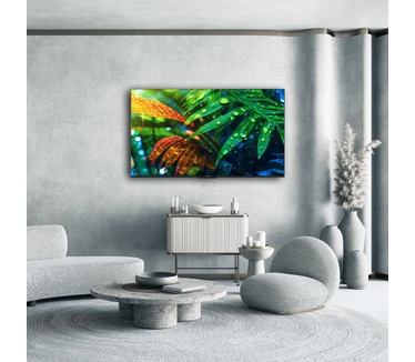 Thomson Smart MiniLED TV 65; Google TV; 3840 x 2160 (4K UHD), 1500000:1, LED, 144 Hz, DVB-T/T2/C/S/S2, HDR10, Wi-Fi, Bluetooth, LAN, HDMI 4 (2.1), USB 2 (2.0) + 1 (3.0), Central Stand, Black