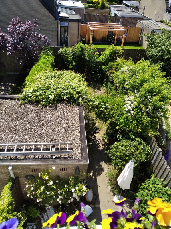 Afbeeldingslocatie: https://tweakers.net/i/MLkzdBf2kH-ZwgM_w6eT9Od7lMs=/x800/filters:strip_icc():strip_exif()/f/image/iGwk67CBC1jAGr2tL0kcyXi2.jpg?f=fotoalbum_large