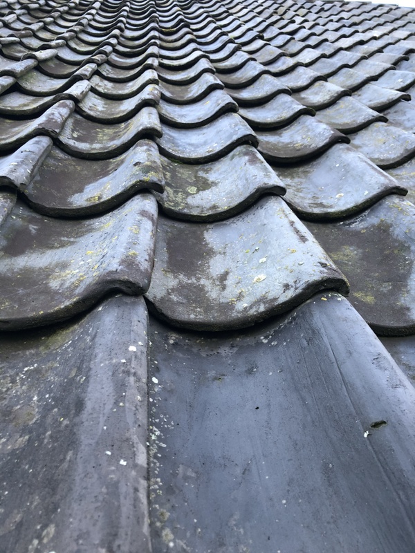 Afbeeldingslocatie: https://tweakers.net/i/MNpioMCTZa5as-6wzV-_ncLcPpM=/x800/filters:strip_icc():strip_exif()/f/image/xKVZucMV63fDGSx6GiMFsVPY.jpg?f=fotoalbum_large