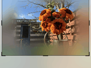 iOS 27 - Nieuwe fotobewerkfuncties