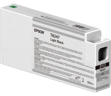Epson T824700