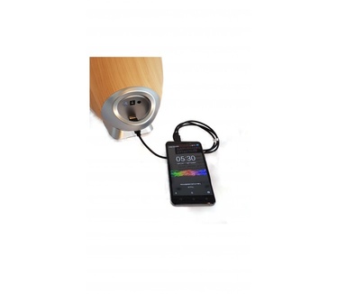 Swisstone BX 700